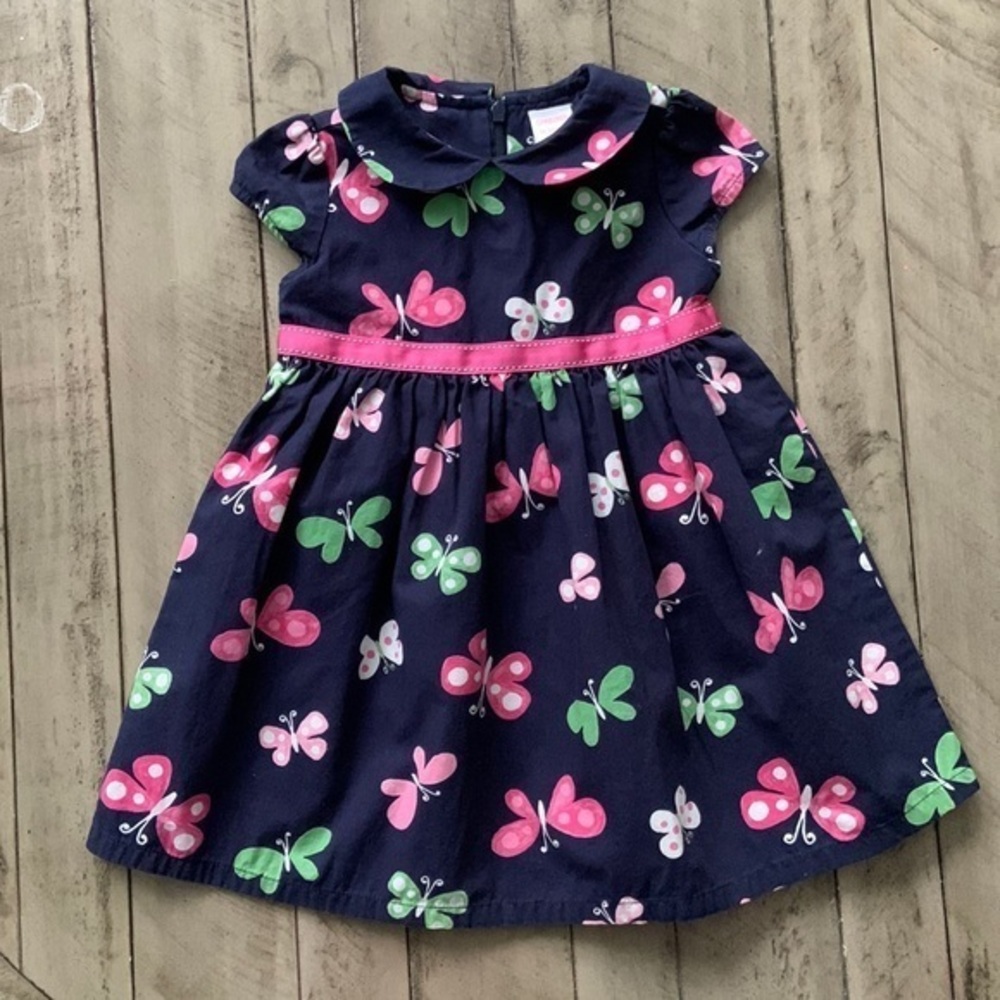 Gymboree Garden Friends Dress